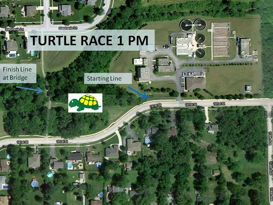 Turtle Race Map